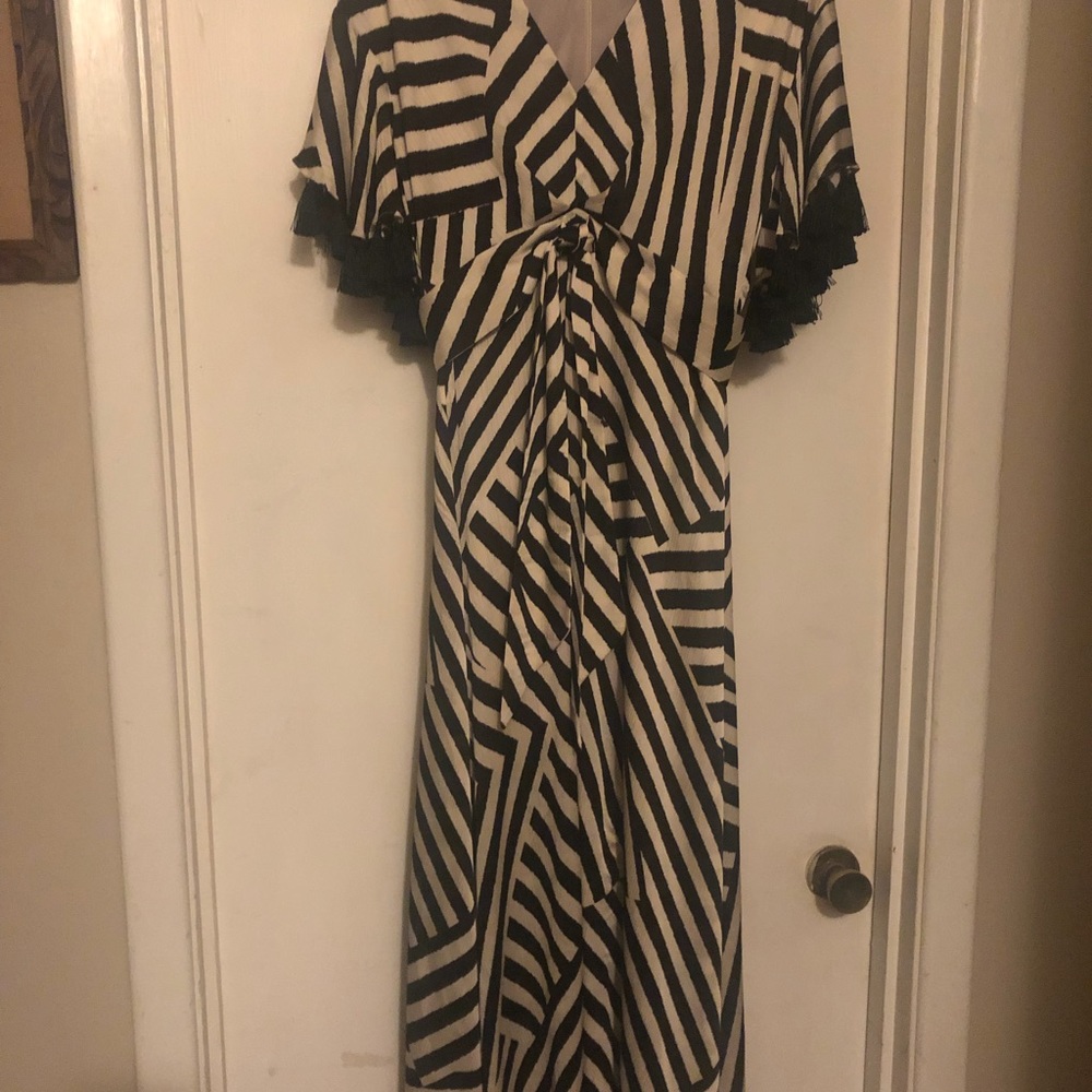 Sachin & Babi size 4 long party dress.